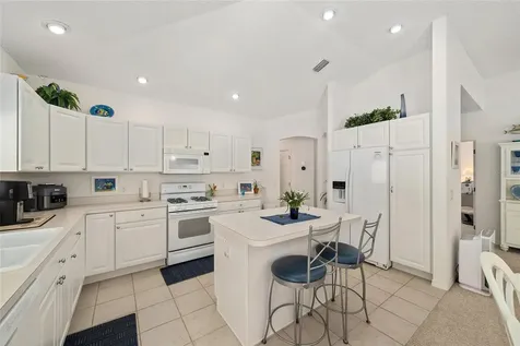 17239 SE 84th Knight Avenue The Villages FL 32162