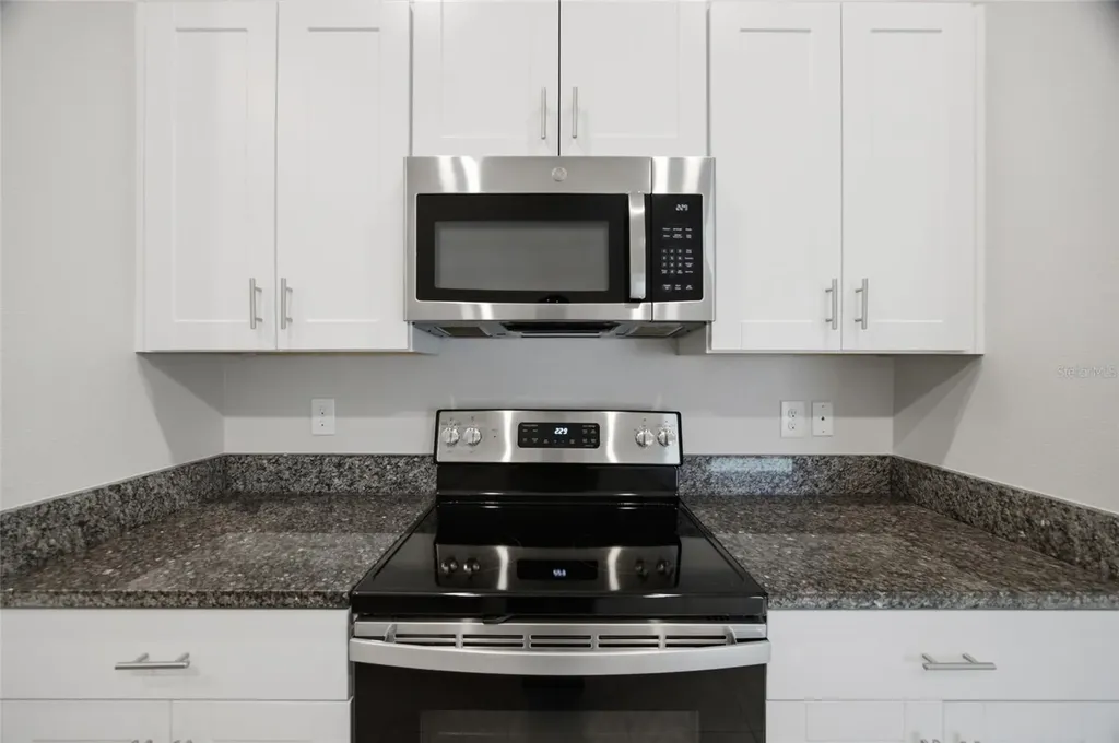 13351 Willow Bluestar Loop Riverview FL 33579