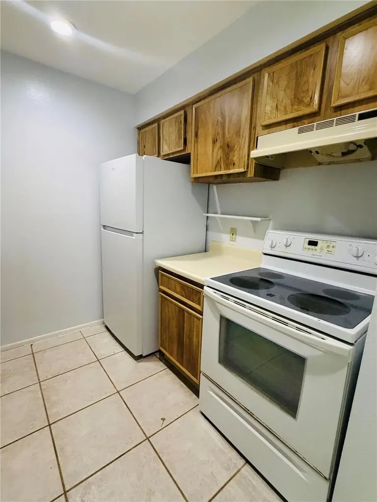 14311 Hanging Moss Circle Tampa FL 33613