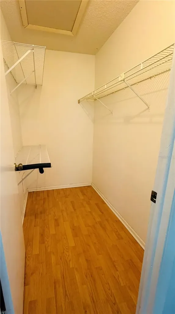 14311 Hanging Moss Circle Tampa FL 33613