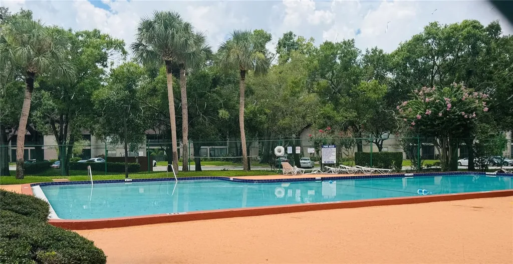 14311 Hanging Moss Circle Tampa FL 33613