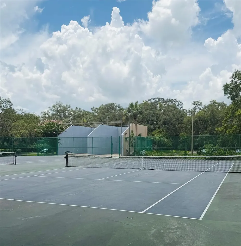 14311 Hanging Moss Circle Tampa FL 33613