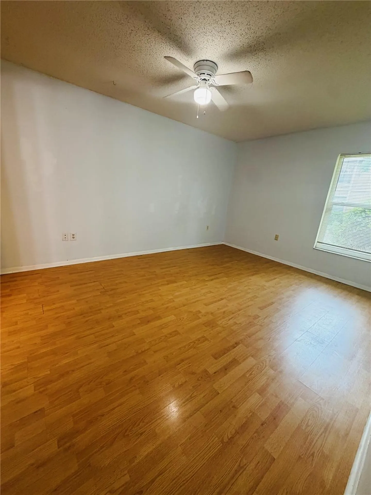 14311 Hanging Moss Circle Tampa FL 33613