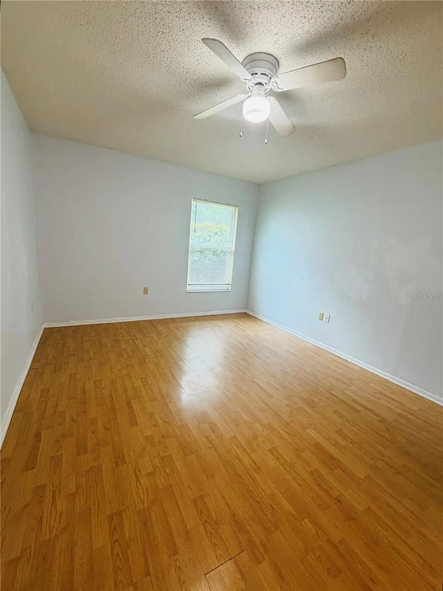 14311 Hanging Moss Circle Tampa FL 33613