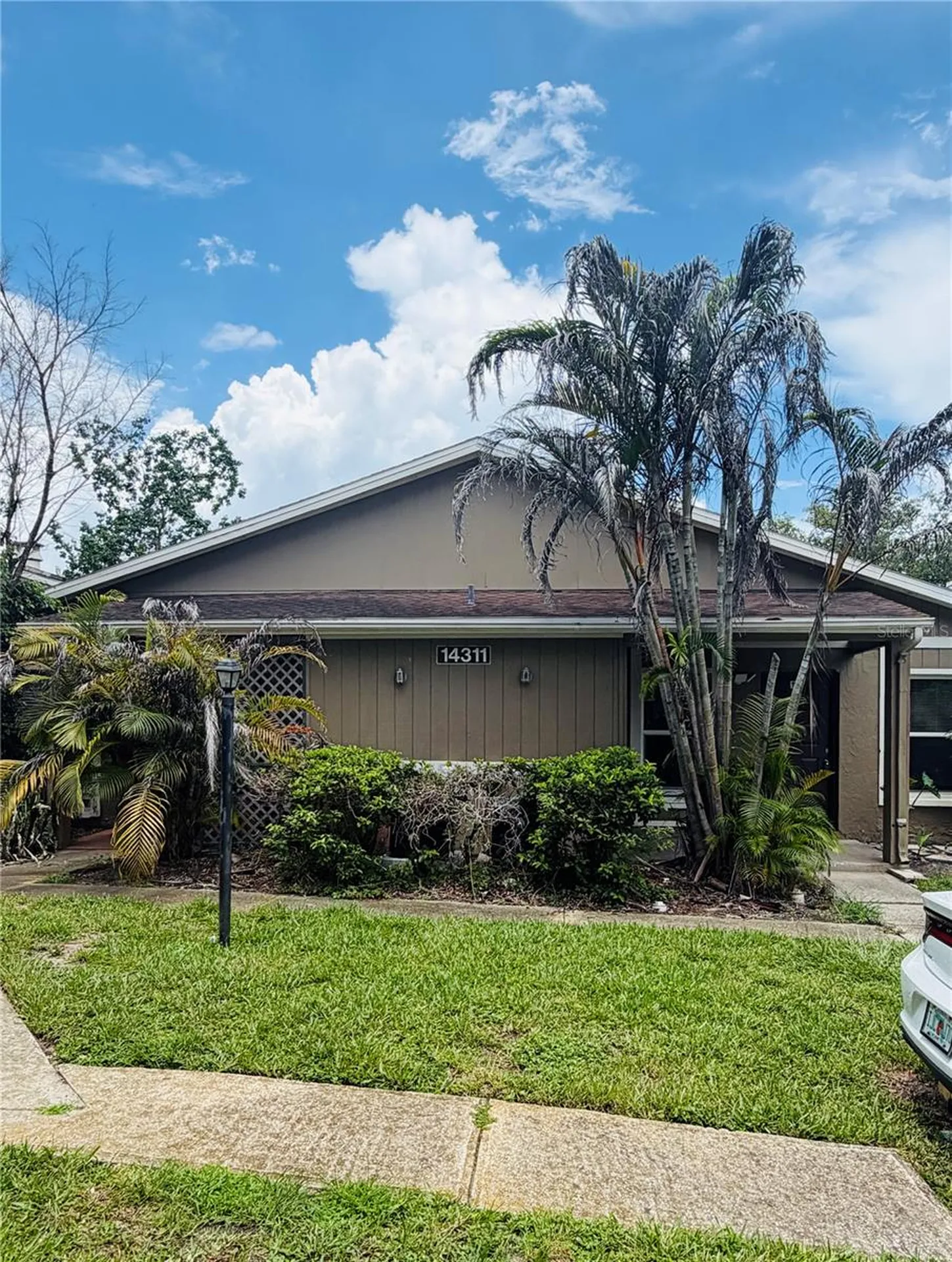14311 Hanging Moss Circle Tampa FL 33613