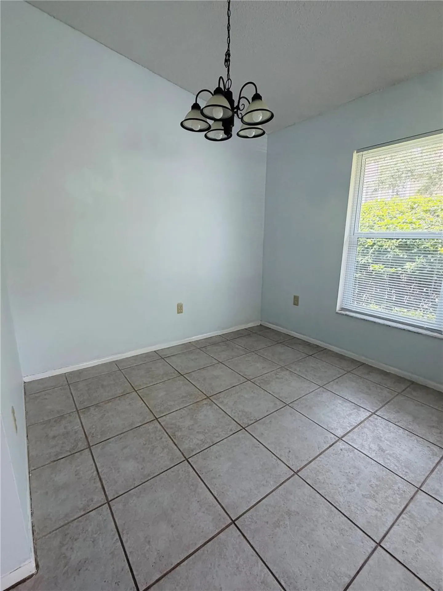14311 Hanging Moss Circle Tampa FL 33613