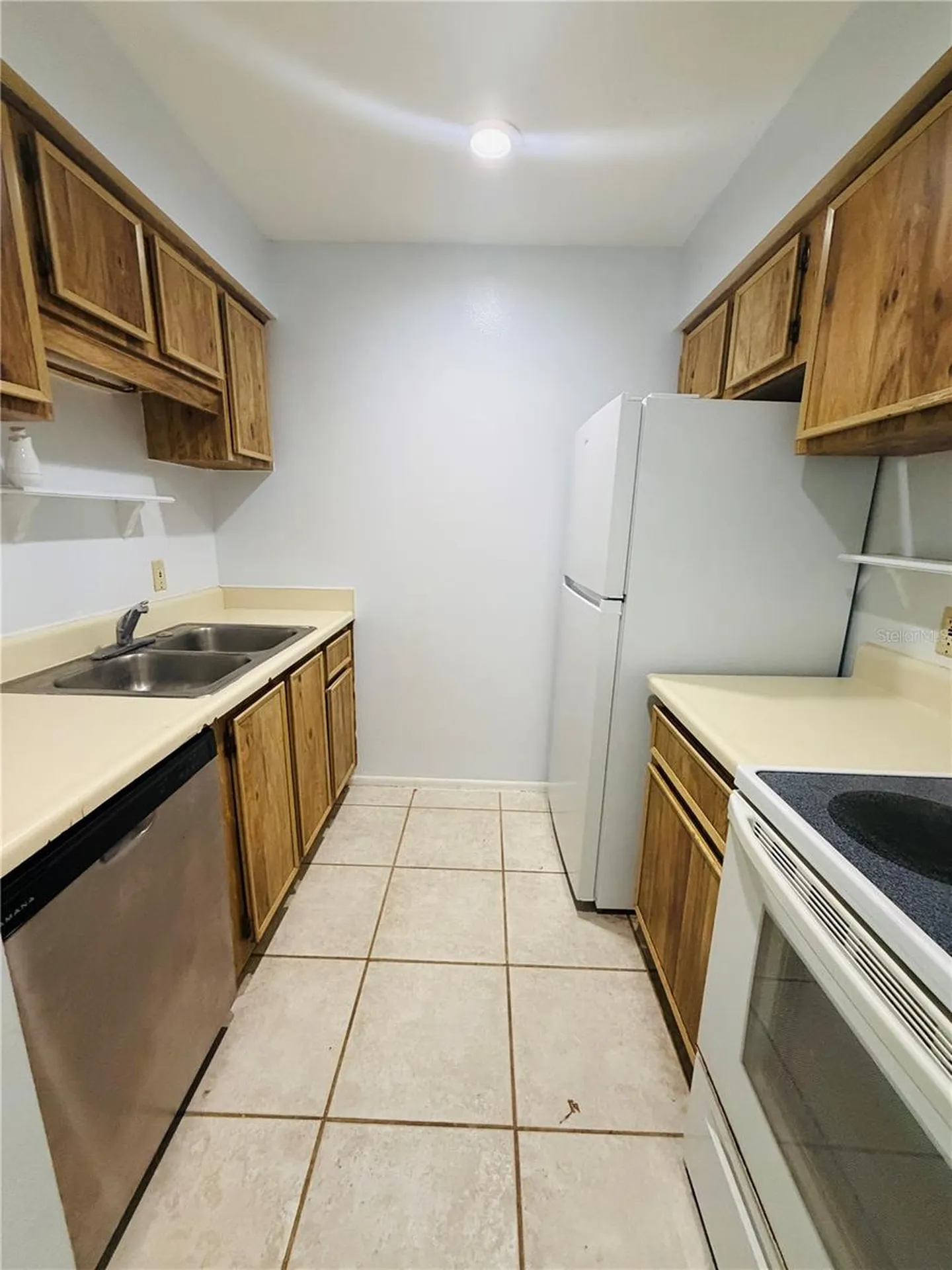 14311 Hanging Moss Circle Tampa FL 33613
