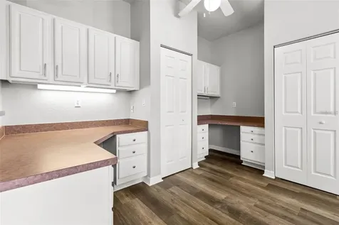 5009 Sunridge Palms Drive Tampa FL 33617