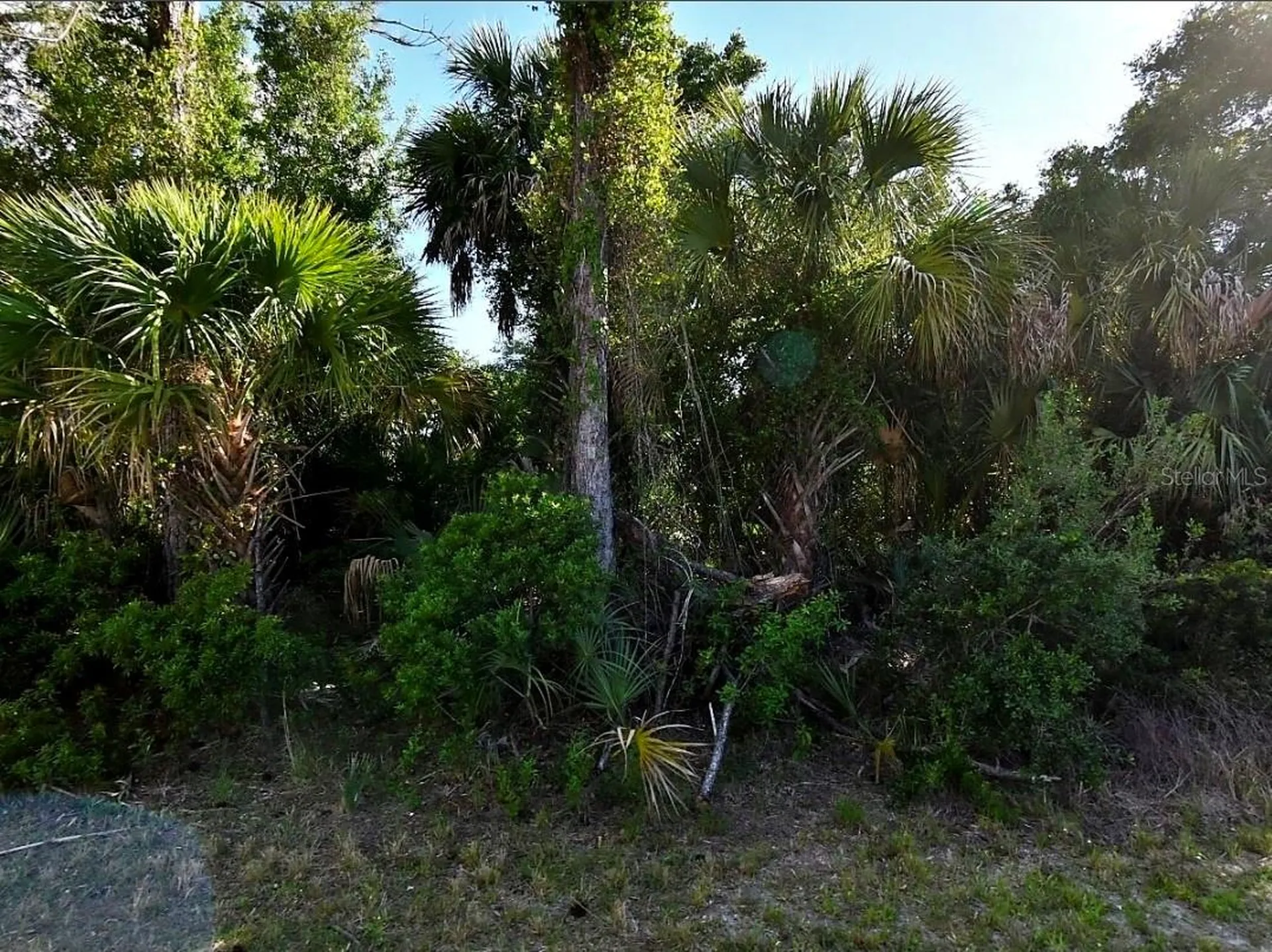 Wells Avenue North Port FL 34286