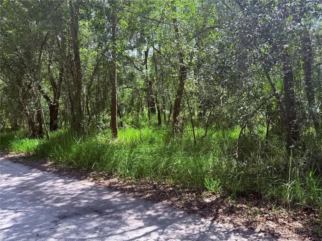 NE River Ridge Avenue Arcadia FL 34266