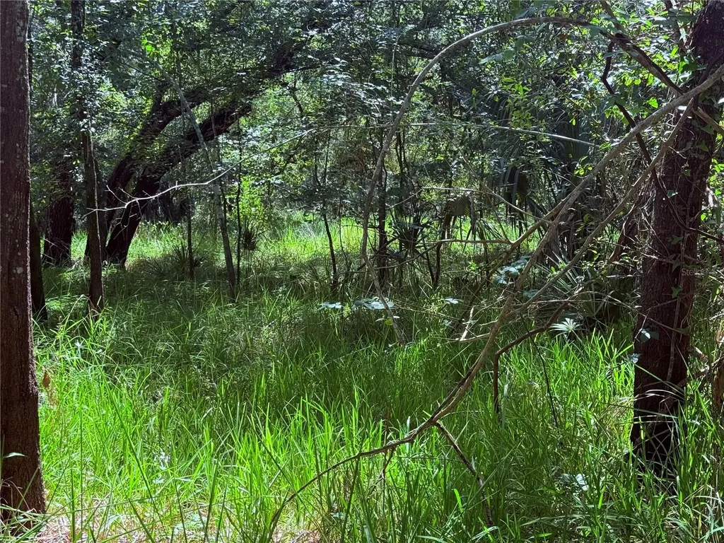 NE River Ridge Avenue Arcadia FL 34266