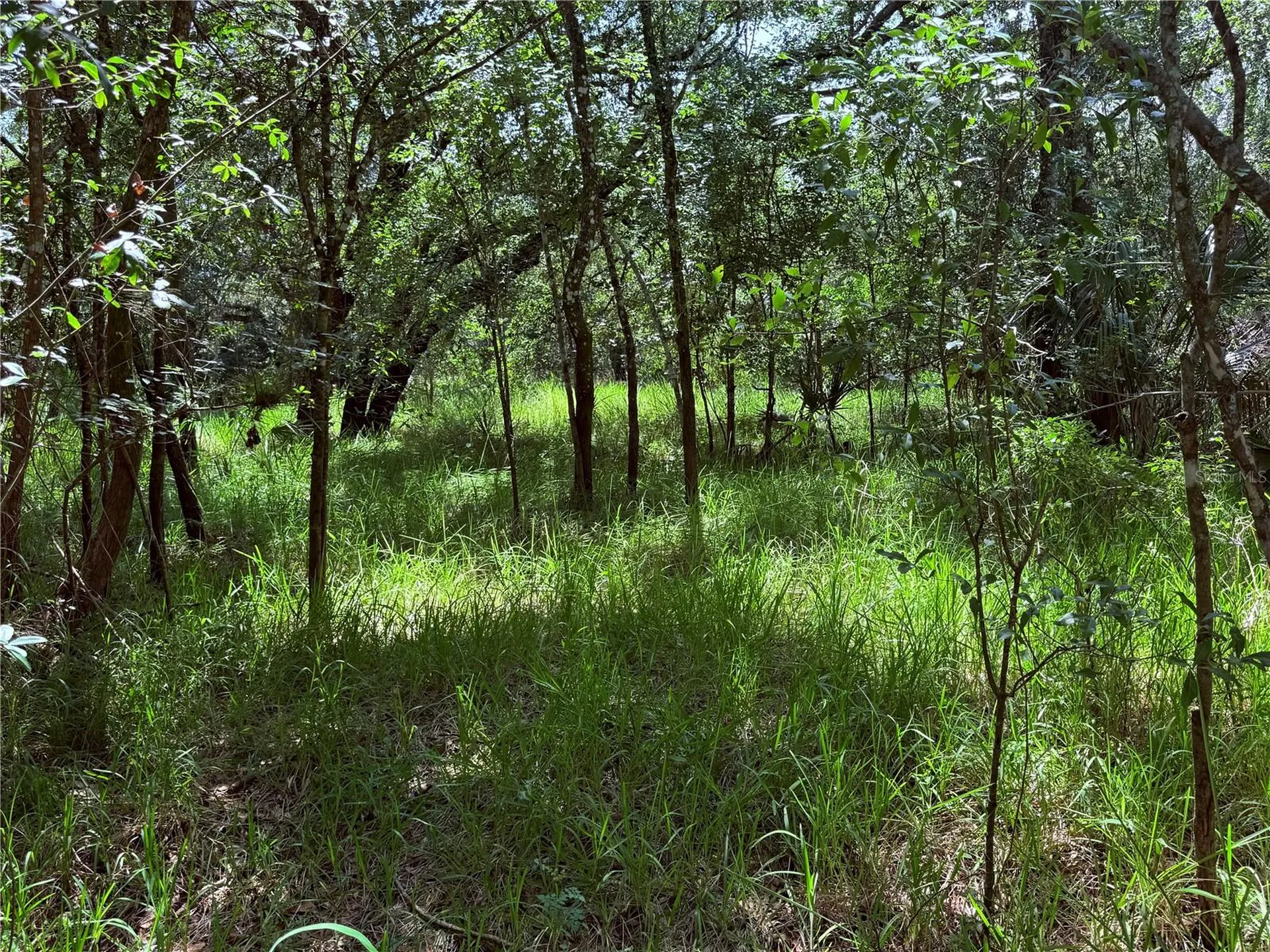 NE River Ridge Avenue Arcadia FL 34266