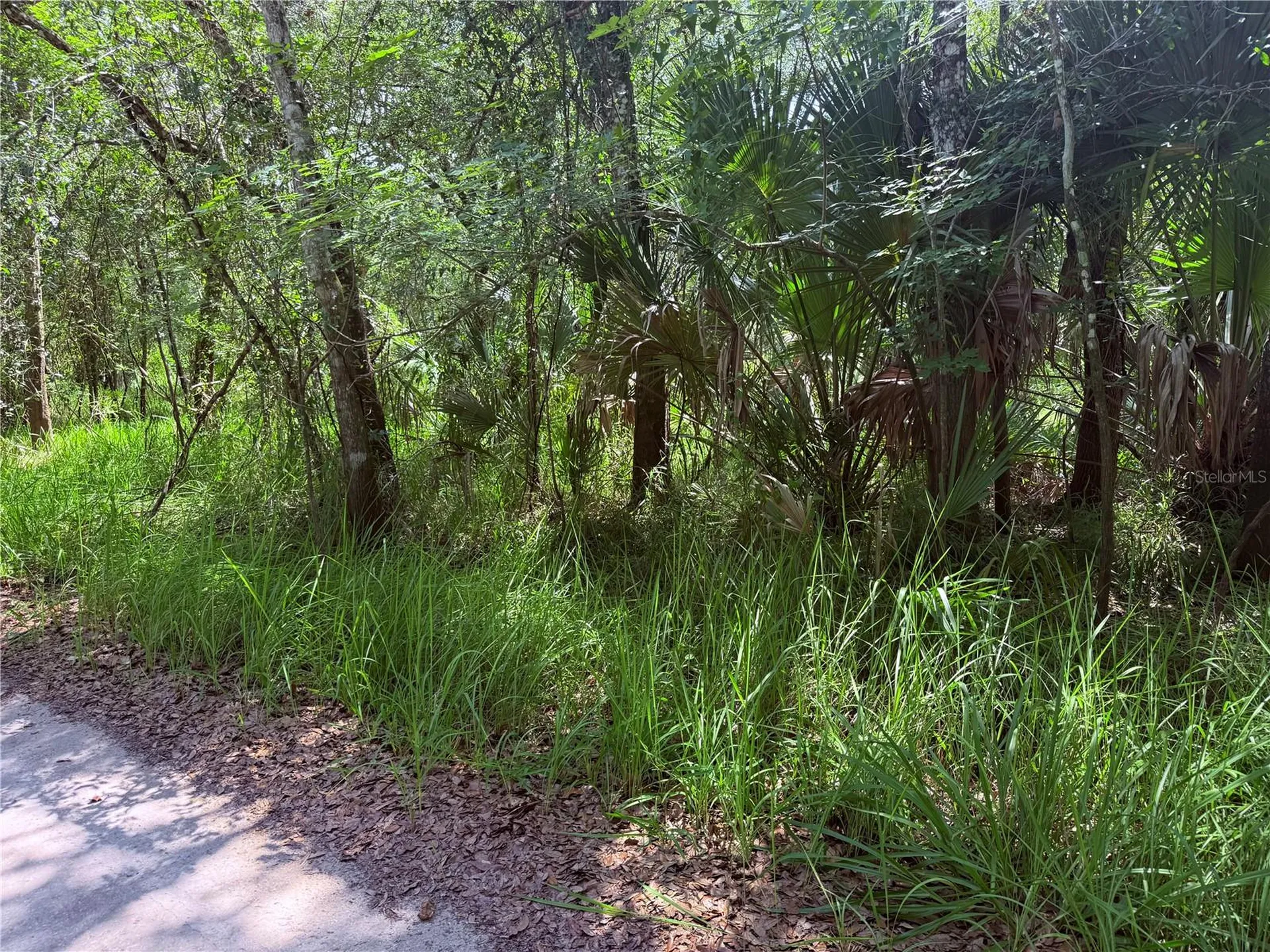 NE River Ridge Avenue Arcadia FL 34266