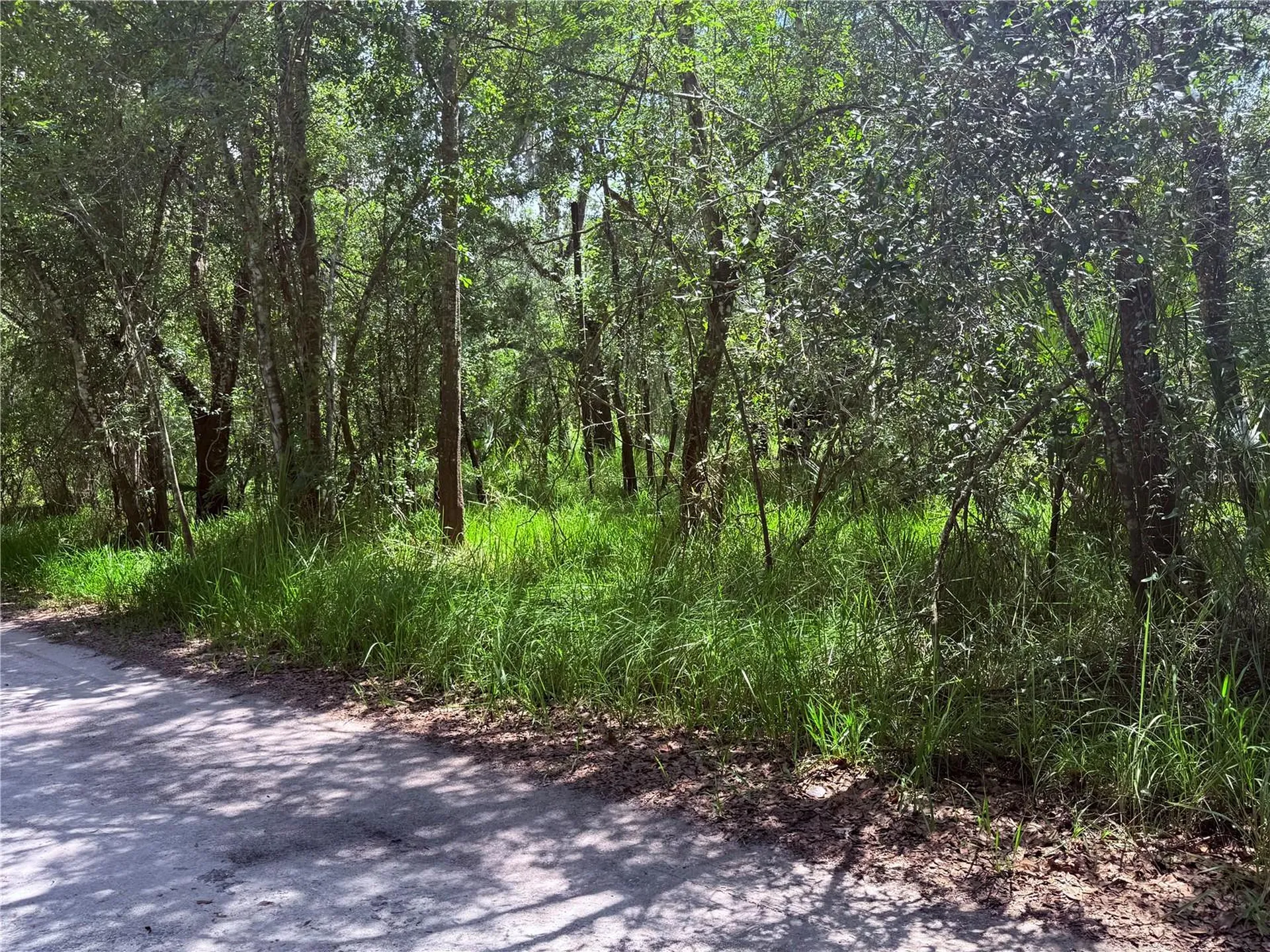 NE River Ridge Avenue Arcadia FL 34266