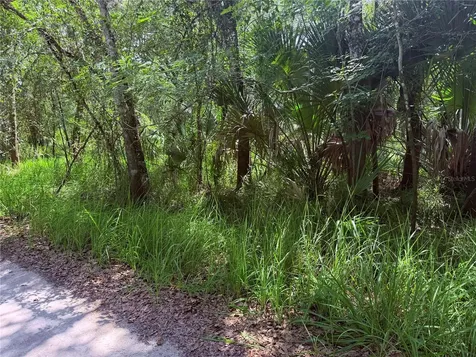 NE River Ridge Avenue Arcadia FL 34266