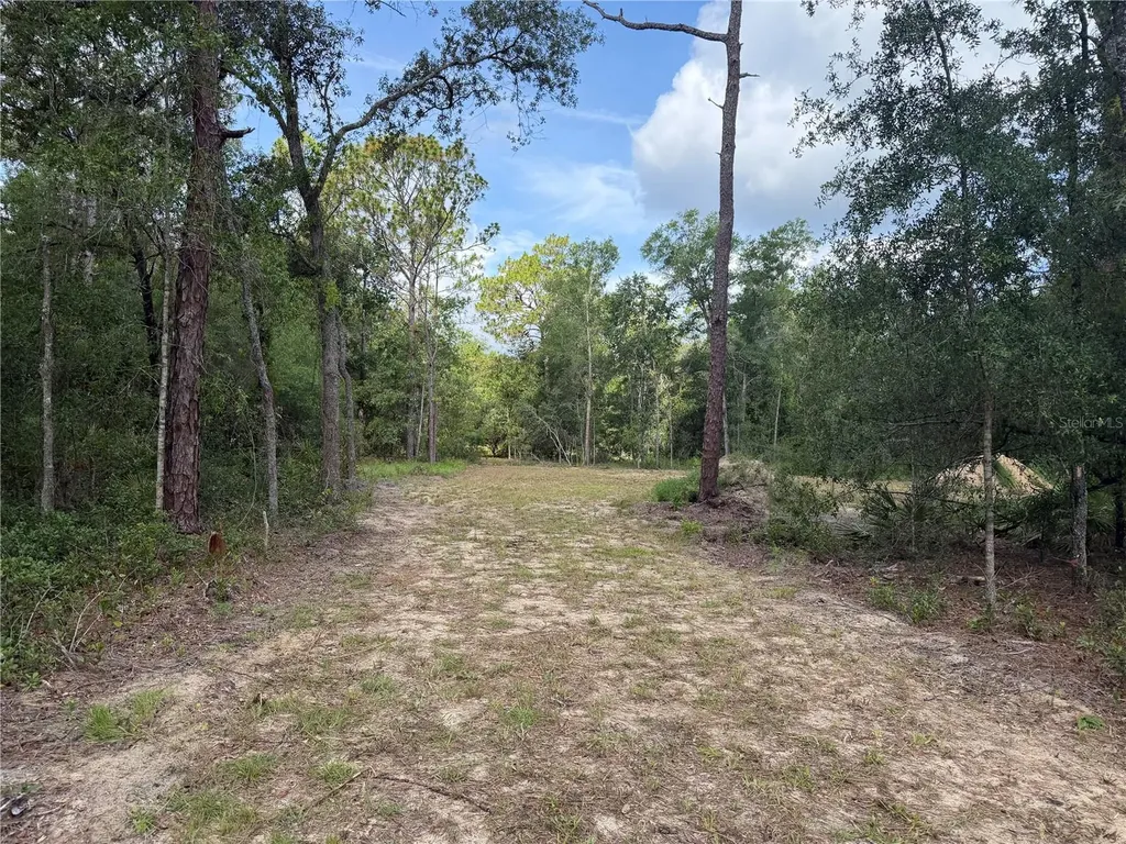 0 Idlewood Drive Webster FL 33597