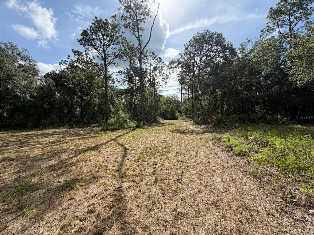 0 Idlewood Drive Webster FL 33597