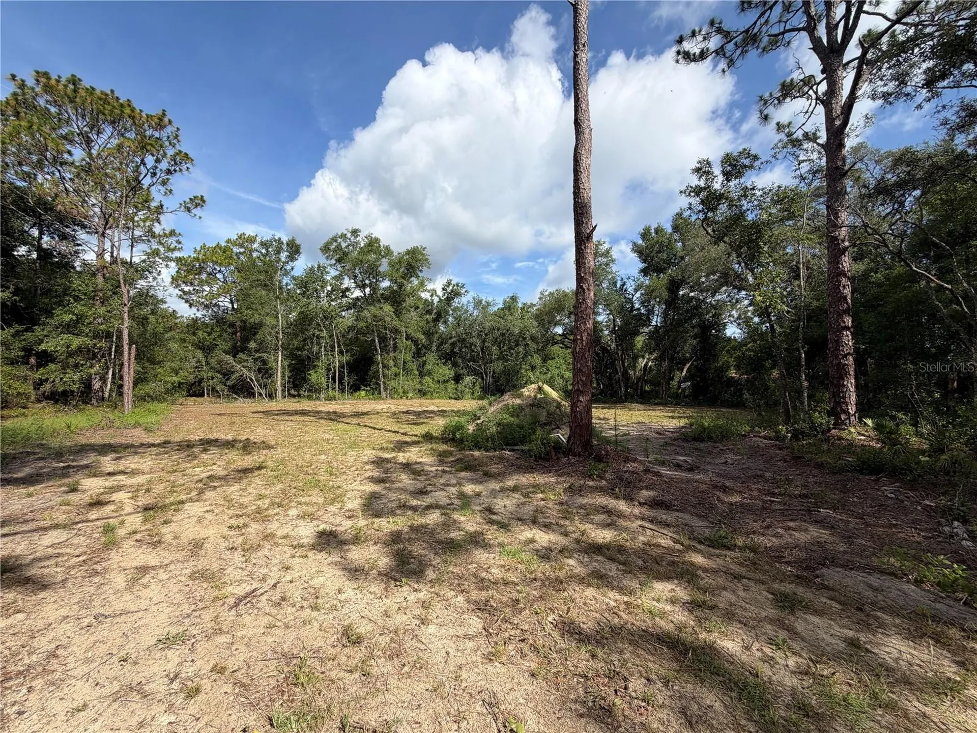 0 Idlewood Drive Webster FL 33597