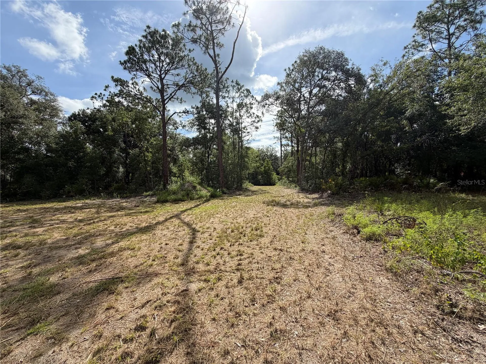 0 Idlewood Drive Webster FL 33597