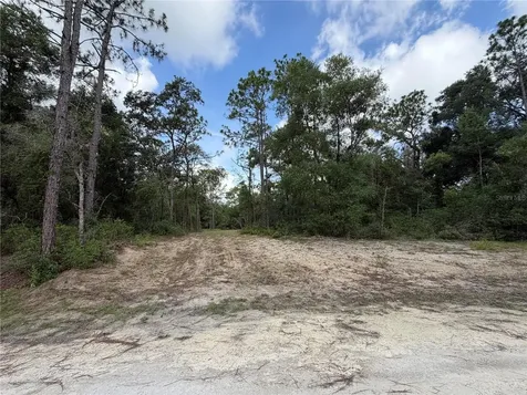 0 Idlewood Drive Webster FL 33597