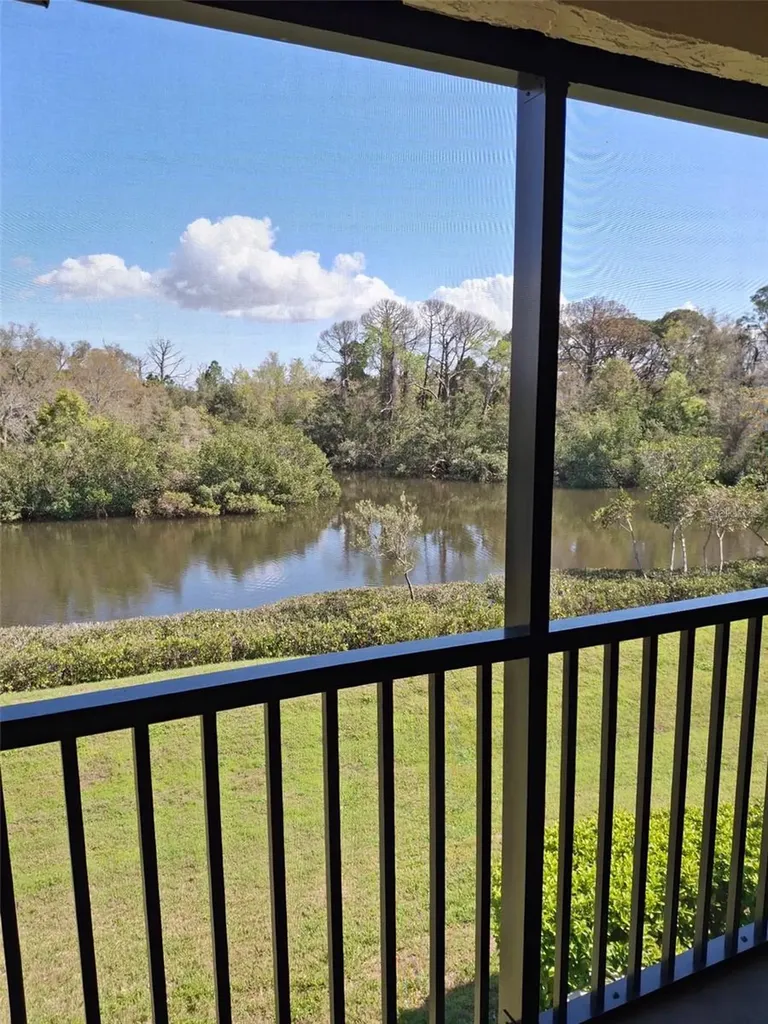 1686 Seascape Circle Tarpon Springs FL 34689