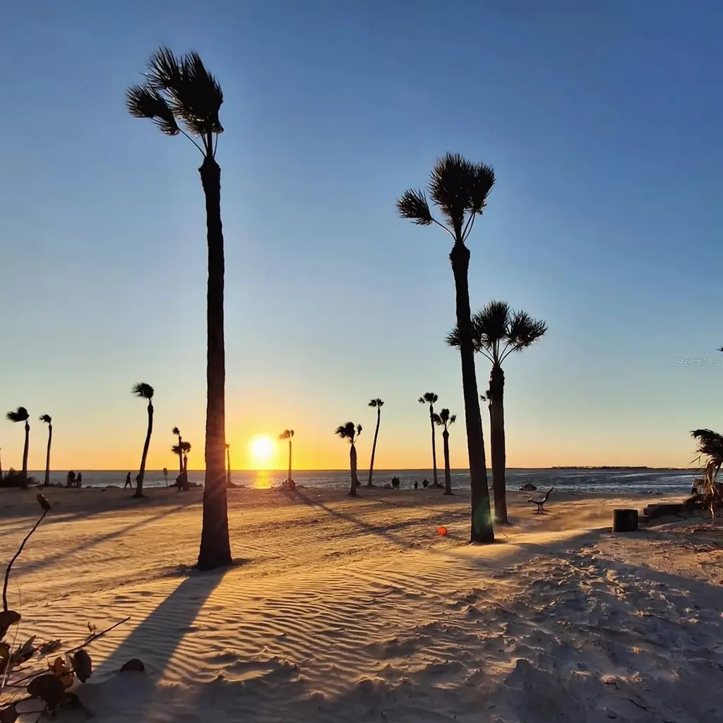 1686 Seascape Circle Tarpon Springs FL 34689