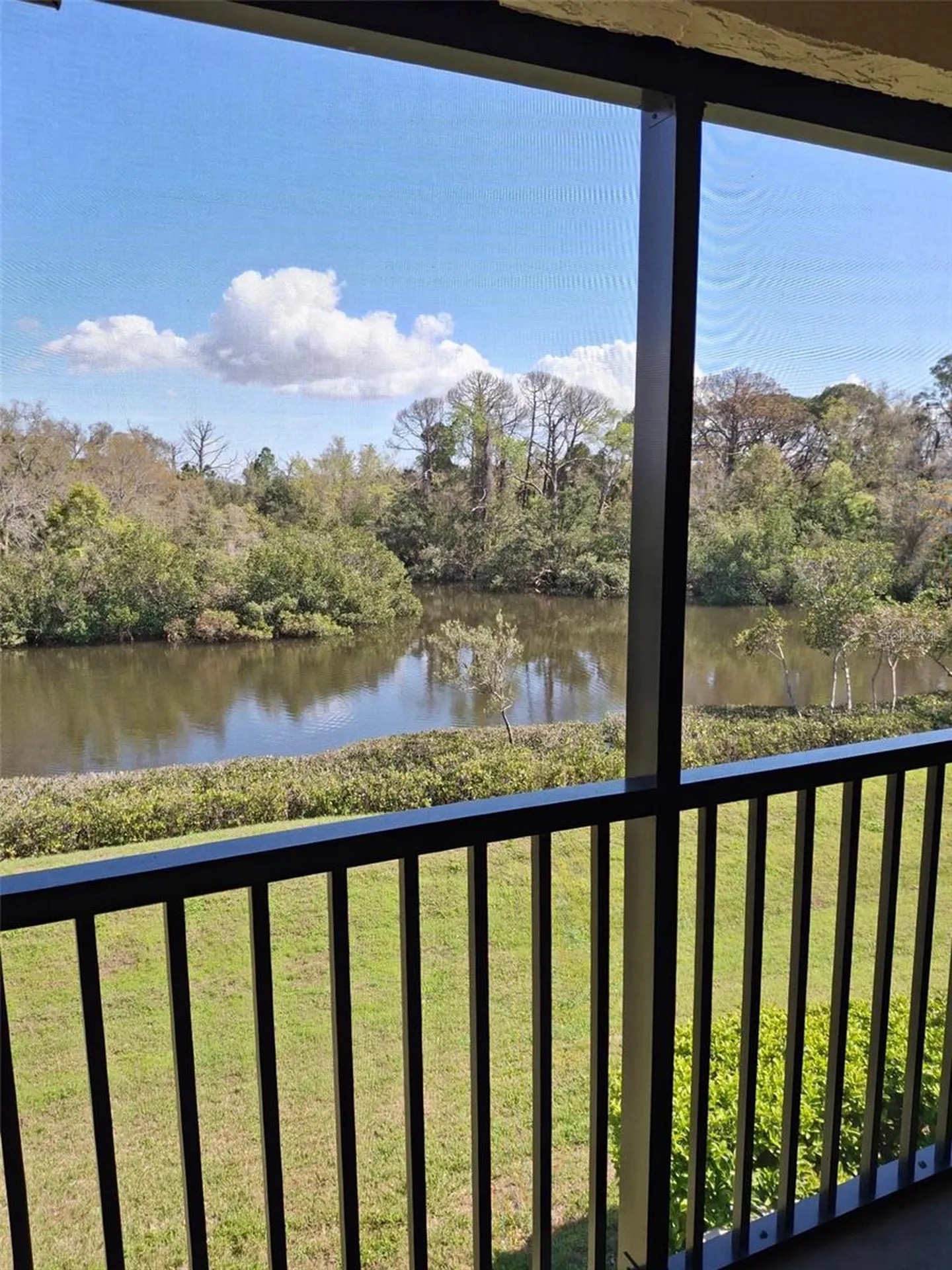 1686 Seascape Circle Tarpon Springs FL 34689