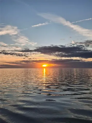 1686 Seascape Circle Tarpon Springs FL 34689