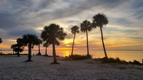 1686 Seascape Circle Tarpon Springs FL 34689
