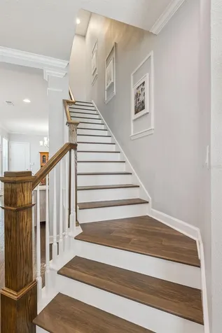 1426 Resolute Street Celebration FL 34747