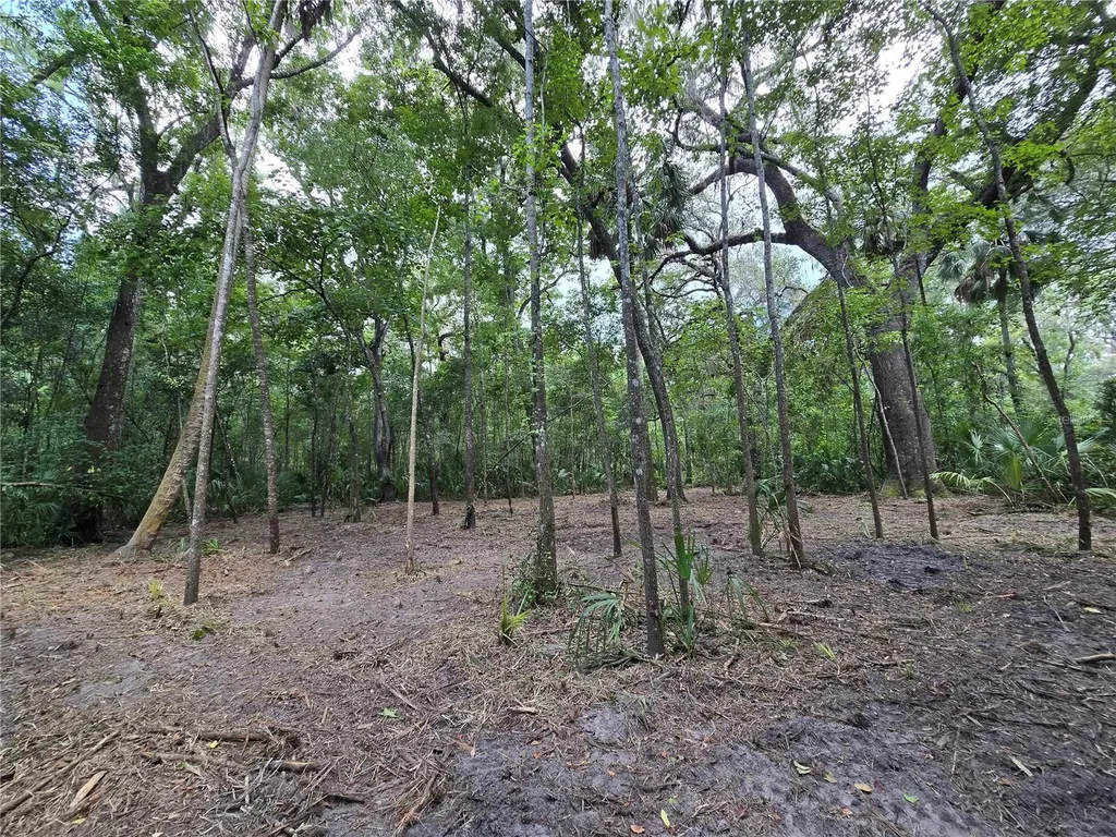 2381 N Junglecamp Road Inverness FL 34453
