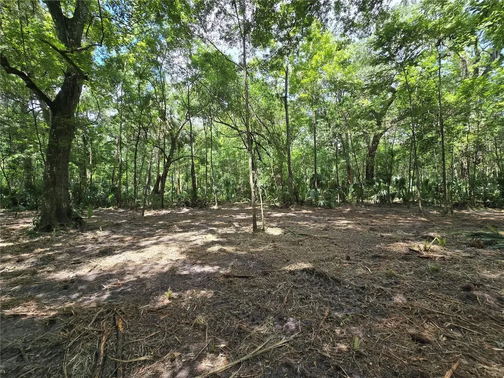 2381 N Junglecamp Road Inverness FL 34453