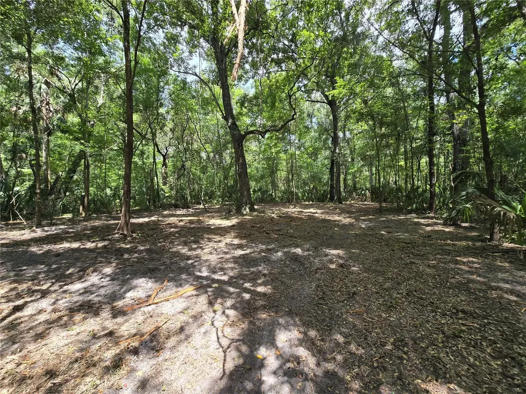 2381 N Junglecamp Road Inverness FL 34453
