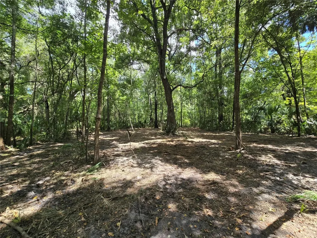 2381 N Junglecamp Road Inverness FL 34453