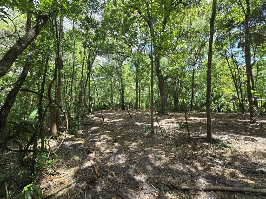 2381 N Junglecamp Road Inverness FL 34453
