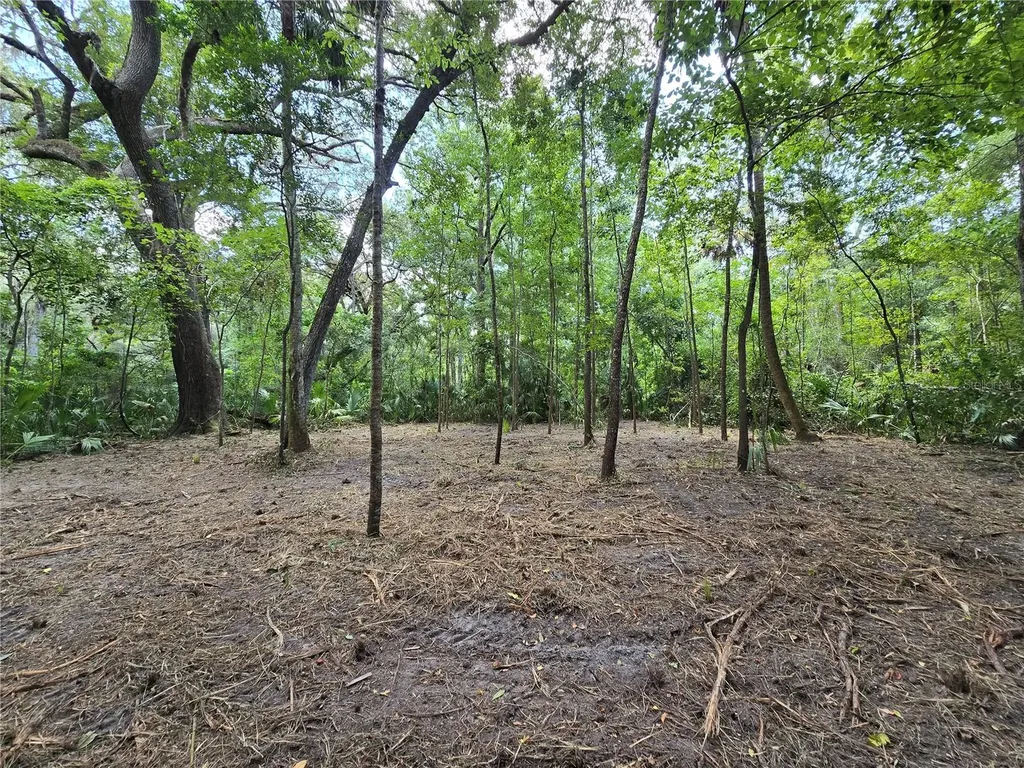 2381 N Junglecamp Road Inverness FL 34453