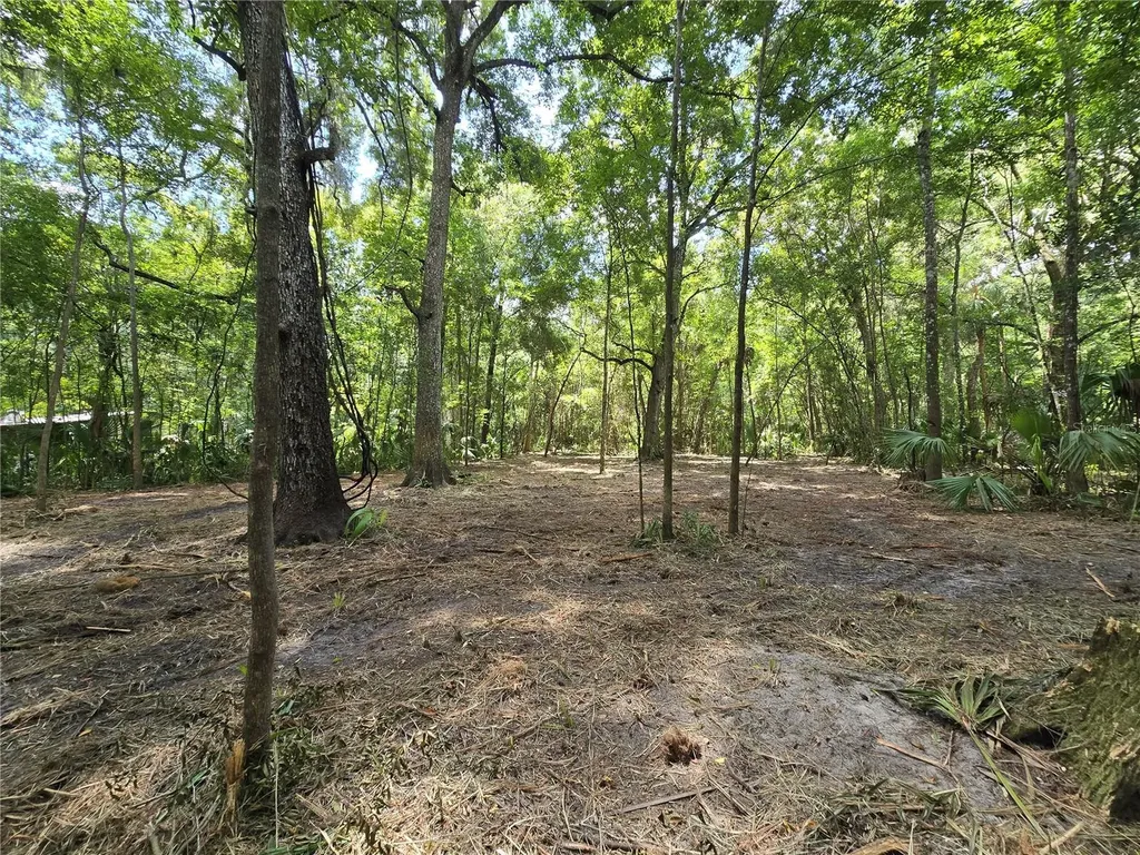 2381 N Junglecamp Road Inverness FL 34453
