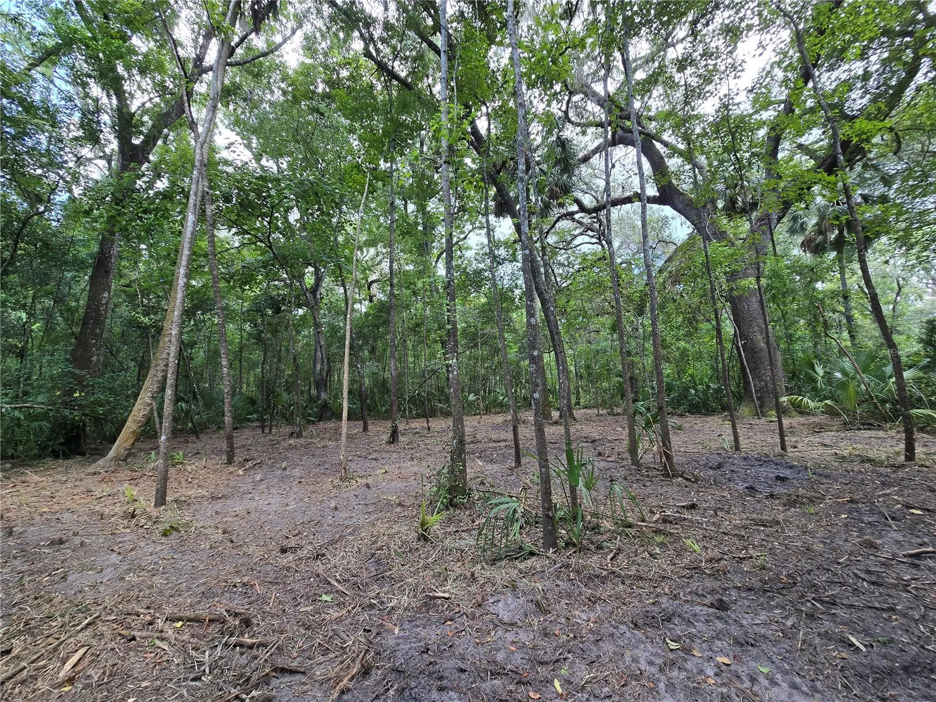 2381 N Junglecamp Road Inverness FL 34453