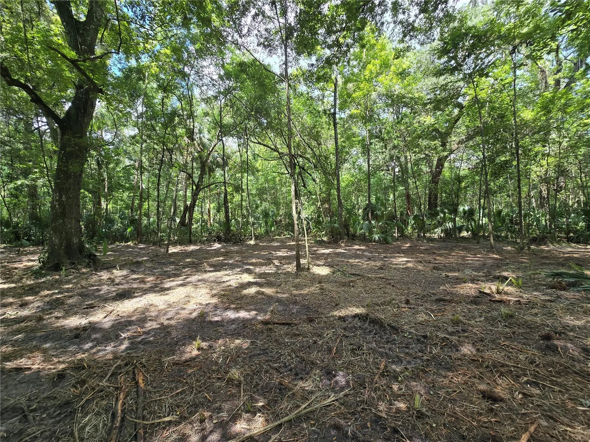 2381 N Junglecamp Road Inverness FL 34453