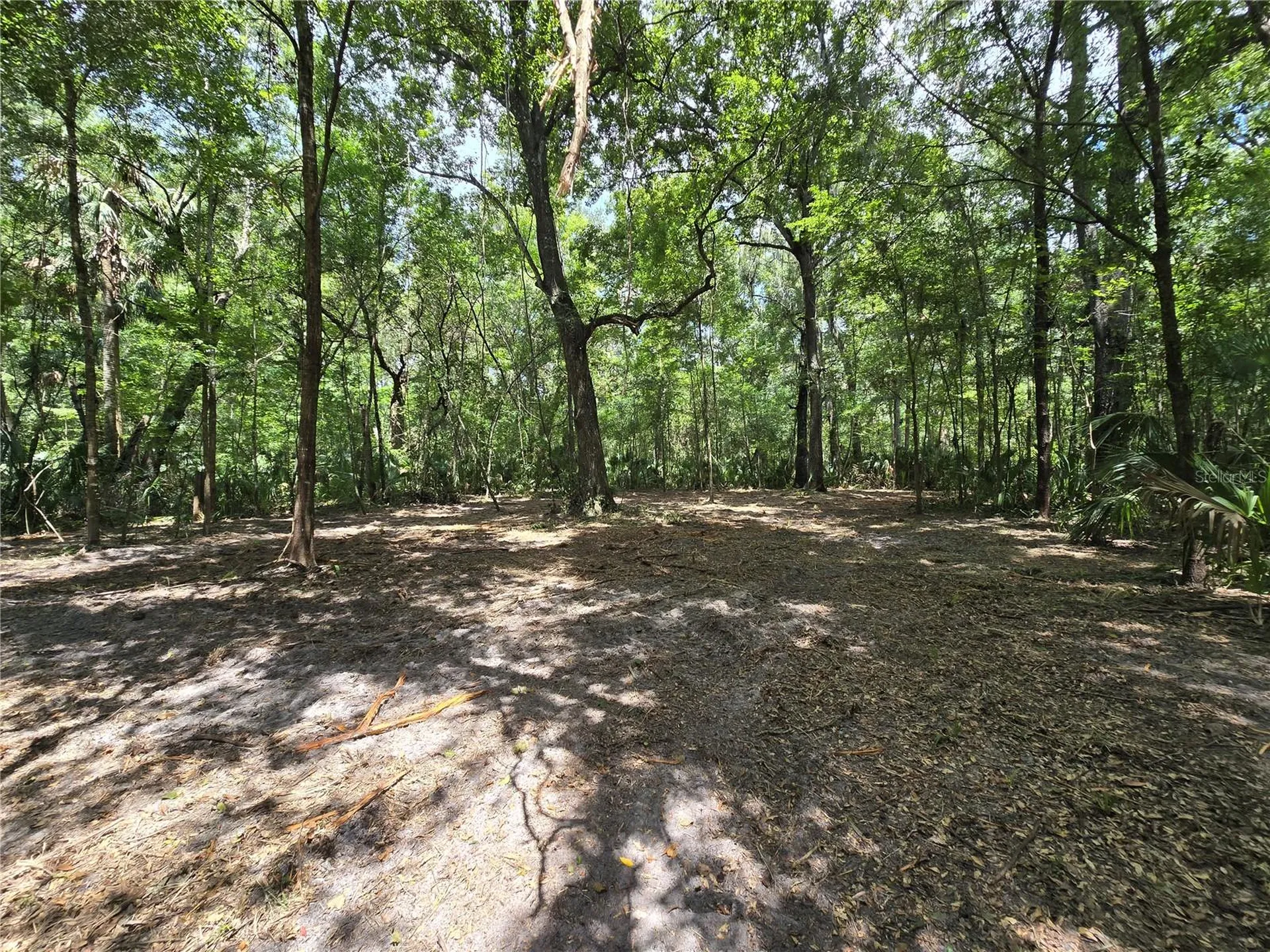 2381 N Junglecamp Road Inverness FL 34453