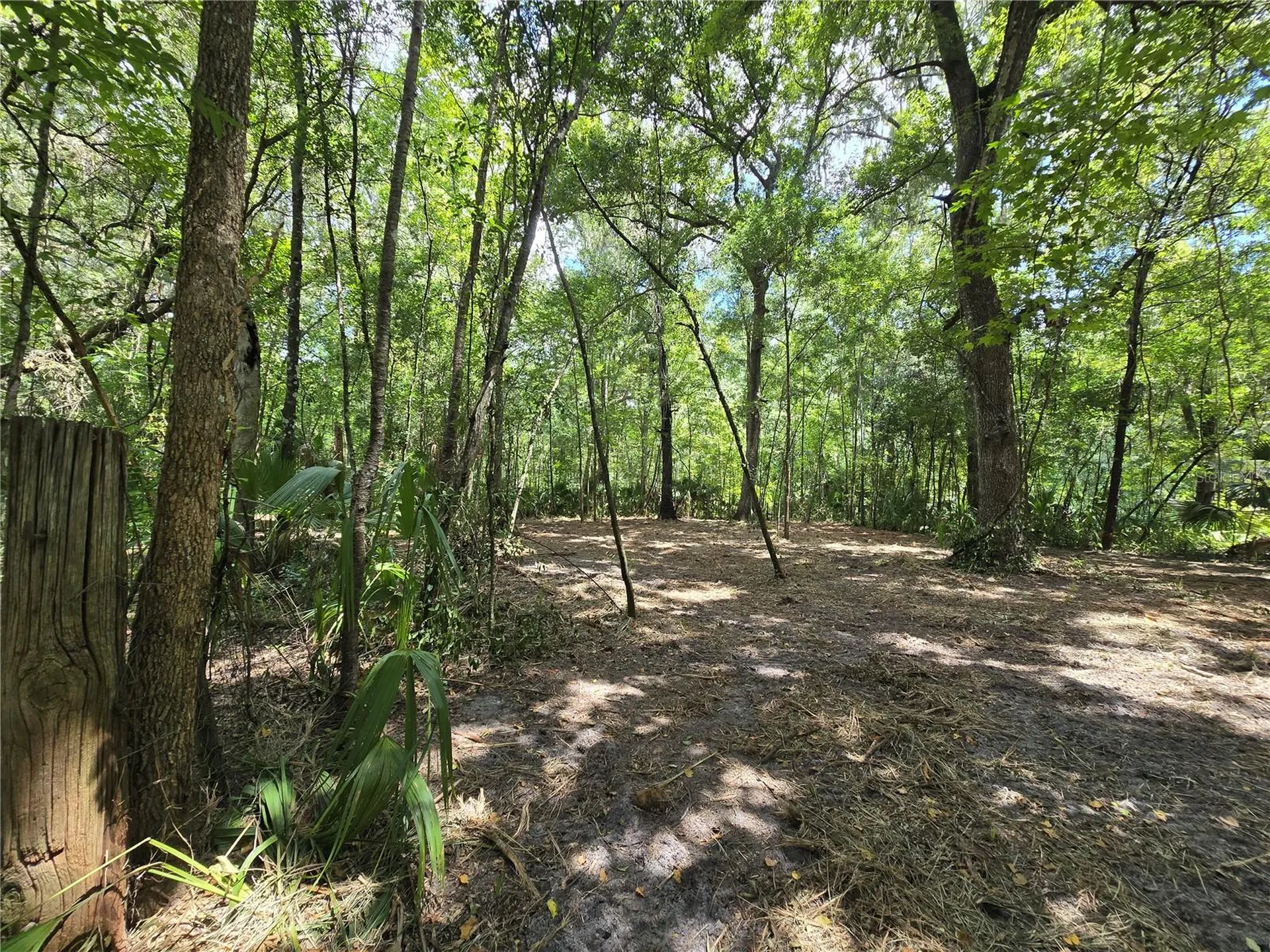 2381 N Junglecamp Road Inverness FL 34453
