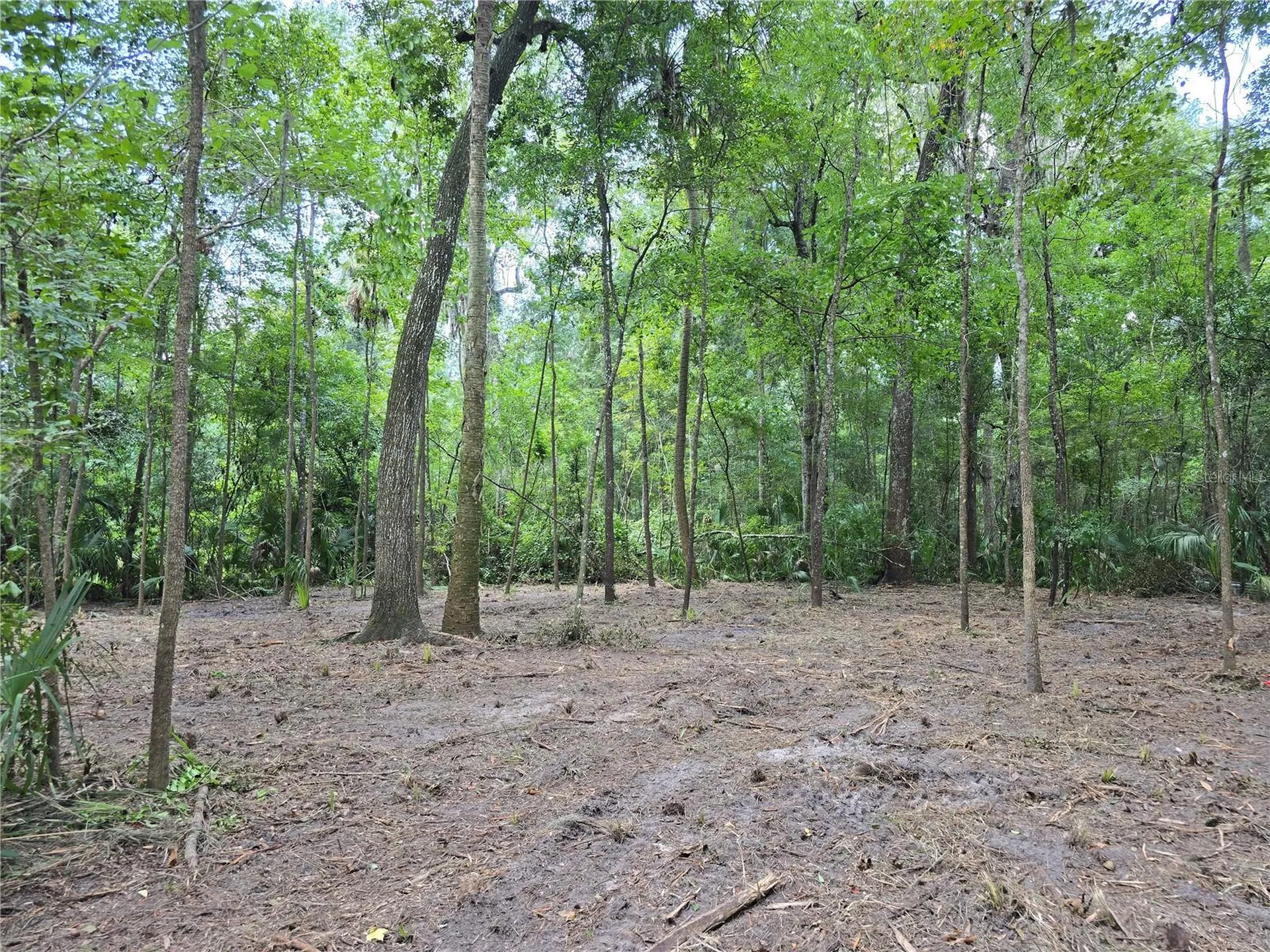 2381 N Junglecamp Road Inverness FL 34453