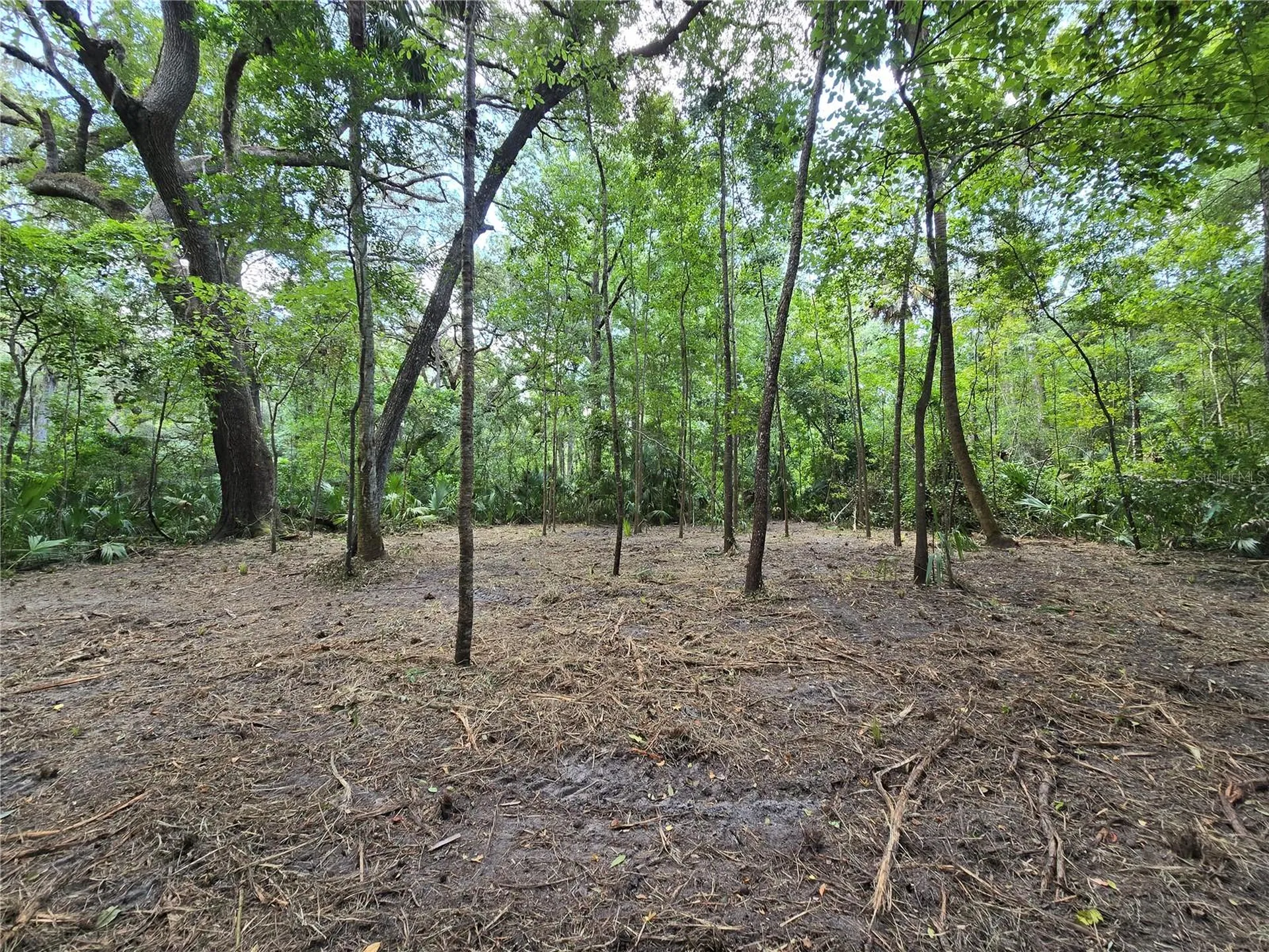 2381 N Junglecamp Road Inverness FL 34453