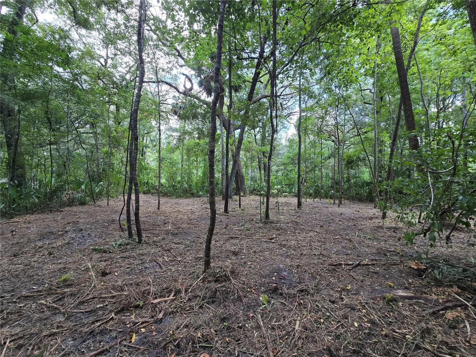 2381 N Junglecamp Road Inverness FL 34453