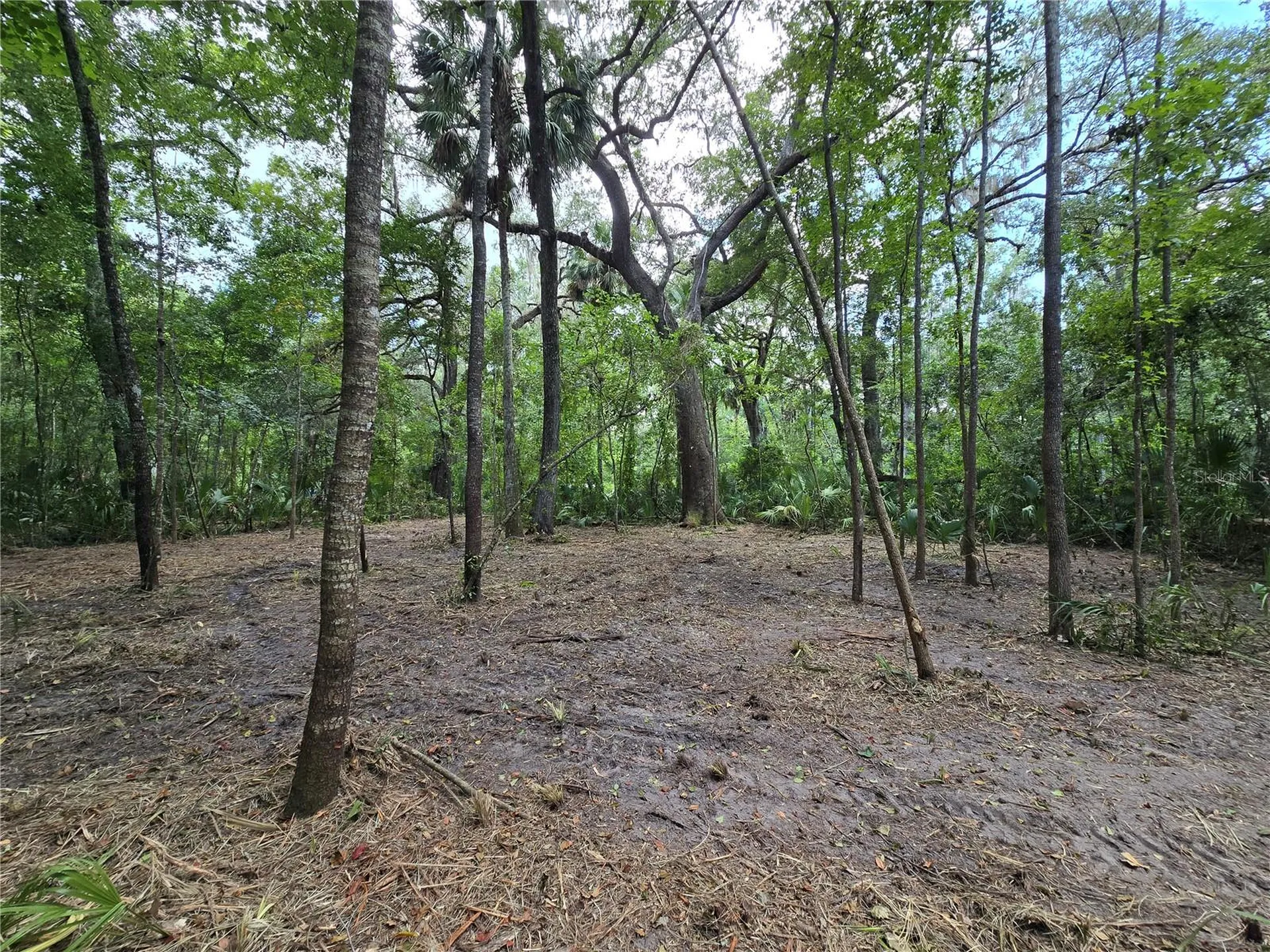2381 N Junglecamp Road Inverness FL 34453