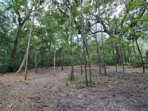 2381 N Junglecamp Road Inverness FL 34453