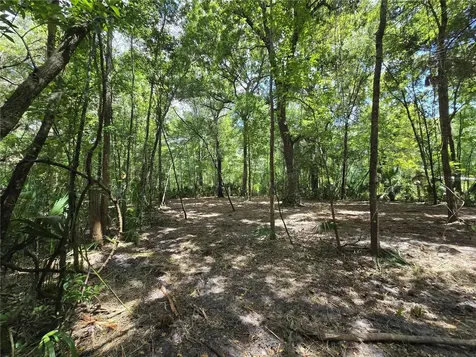 2381 N Junglecamp Road Inverness FL 34453