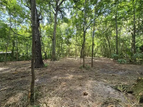 2381 N Junglecamp Road Inverness FL 34453