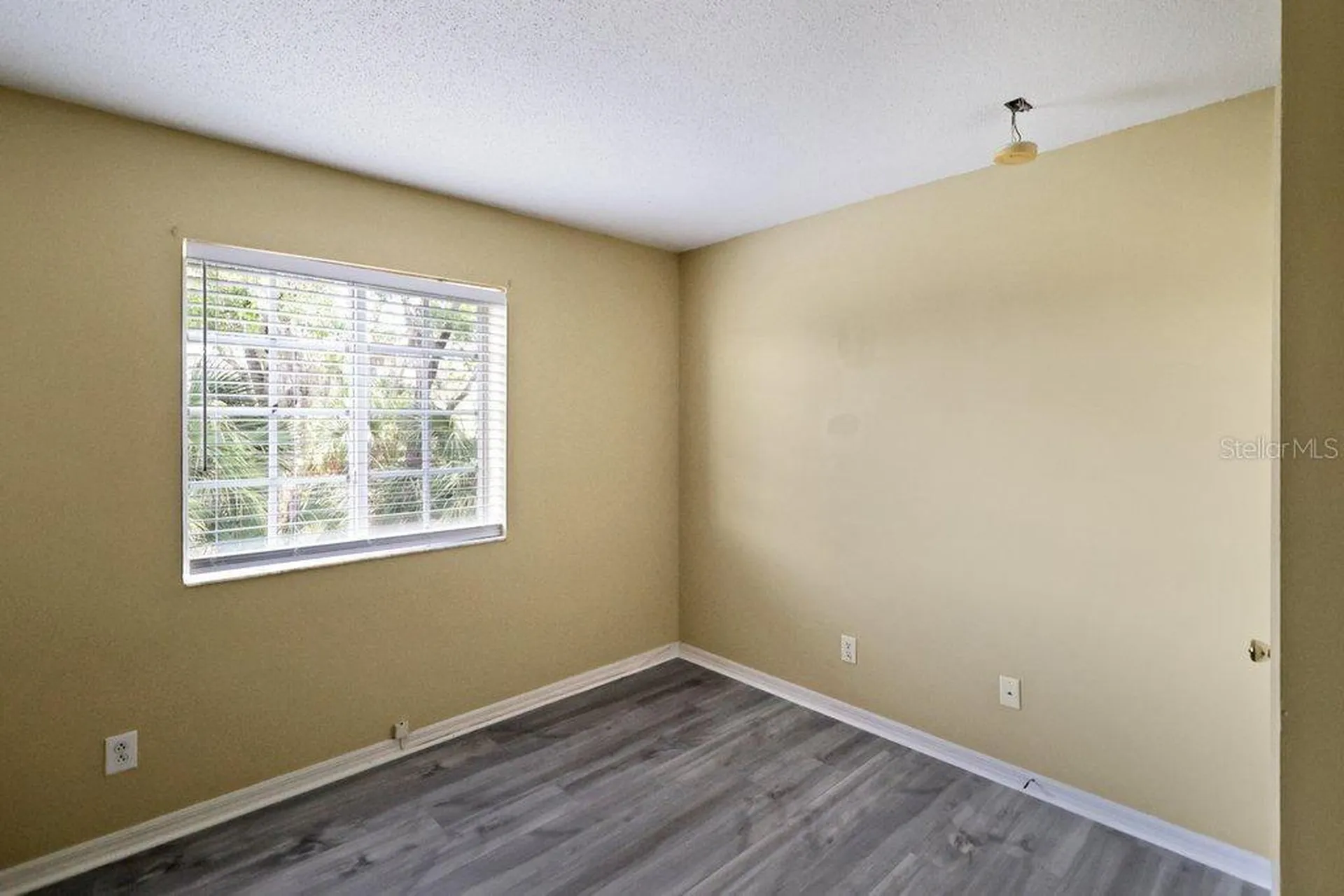 7127 Waterside Drive Tampa FL 33617
