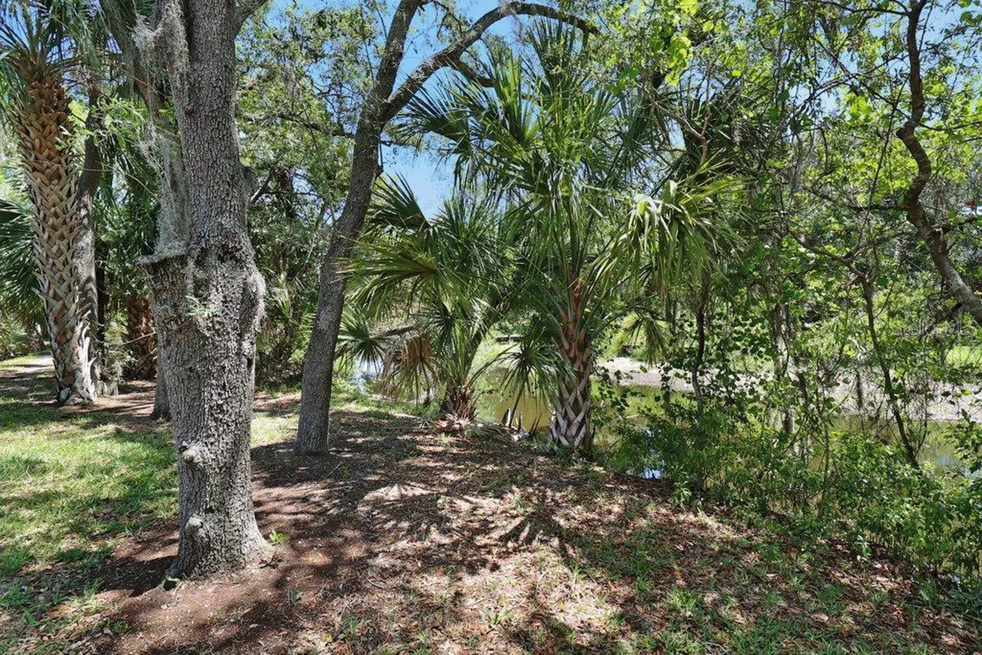 7127 Waterside Drive Tampa FL 33617